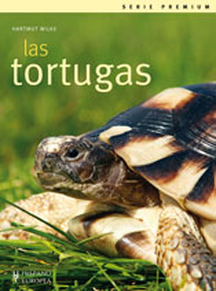 Tortugas, Las