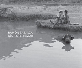 D&iacute;as en Peshawar