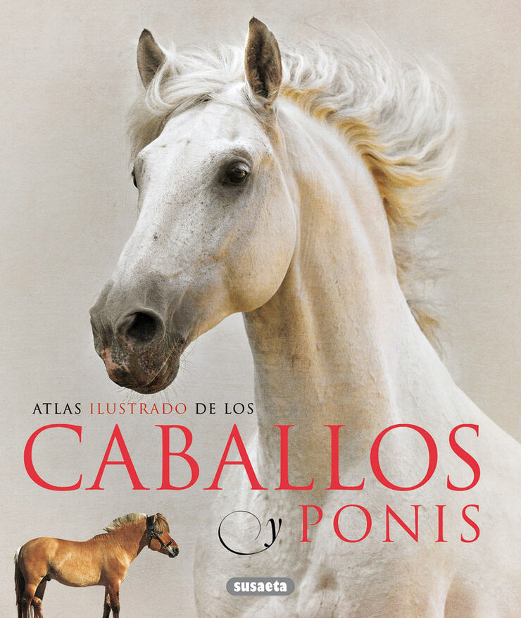 Caballos y ponis