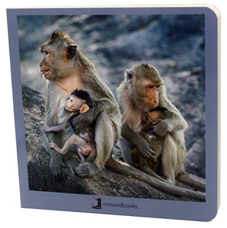 Animales en familia