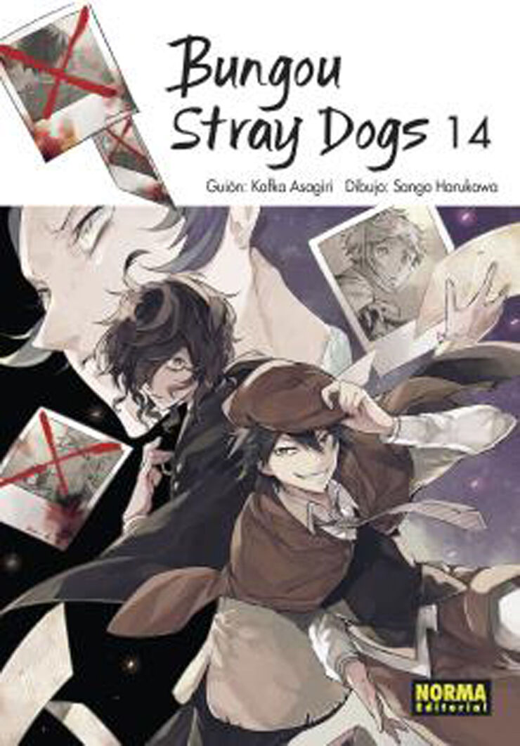 Bungou stray dogs 14