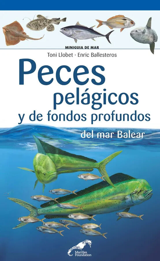 Peces pel&aacute;gicos y de fondos profundos del mar Balear