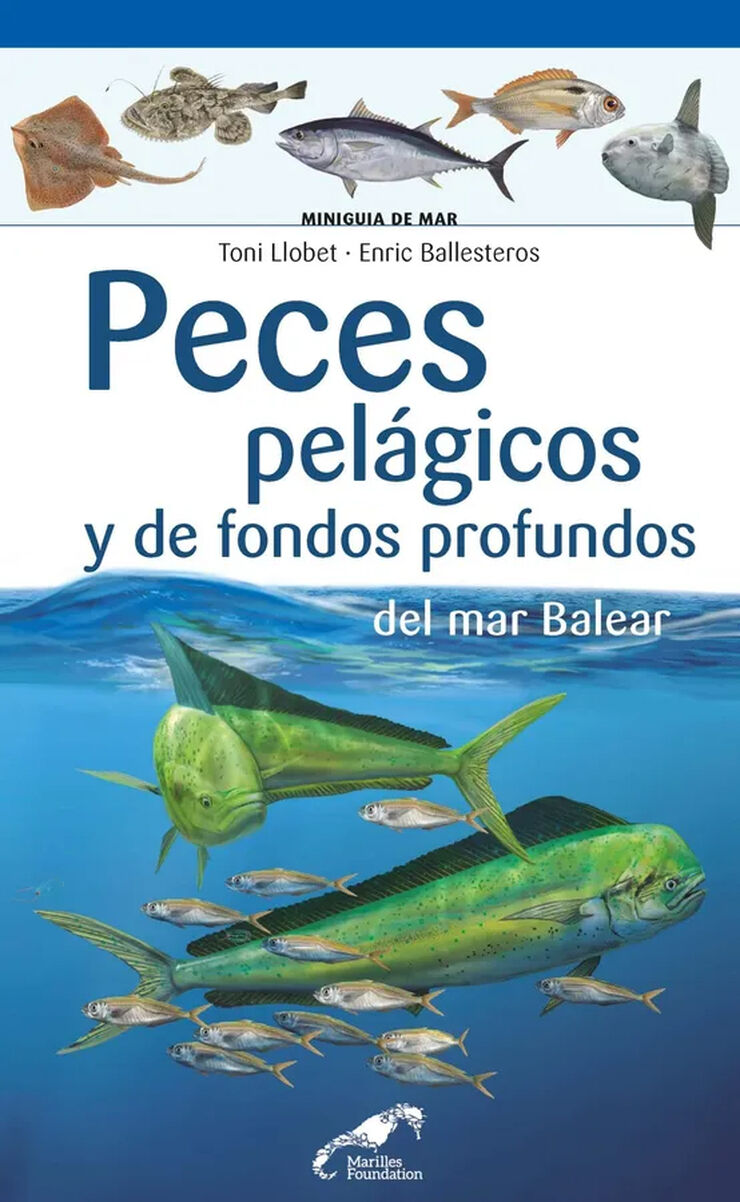 Peces pel&aacute;gicos y de fondos profundos del mar Balear