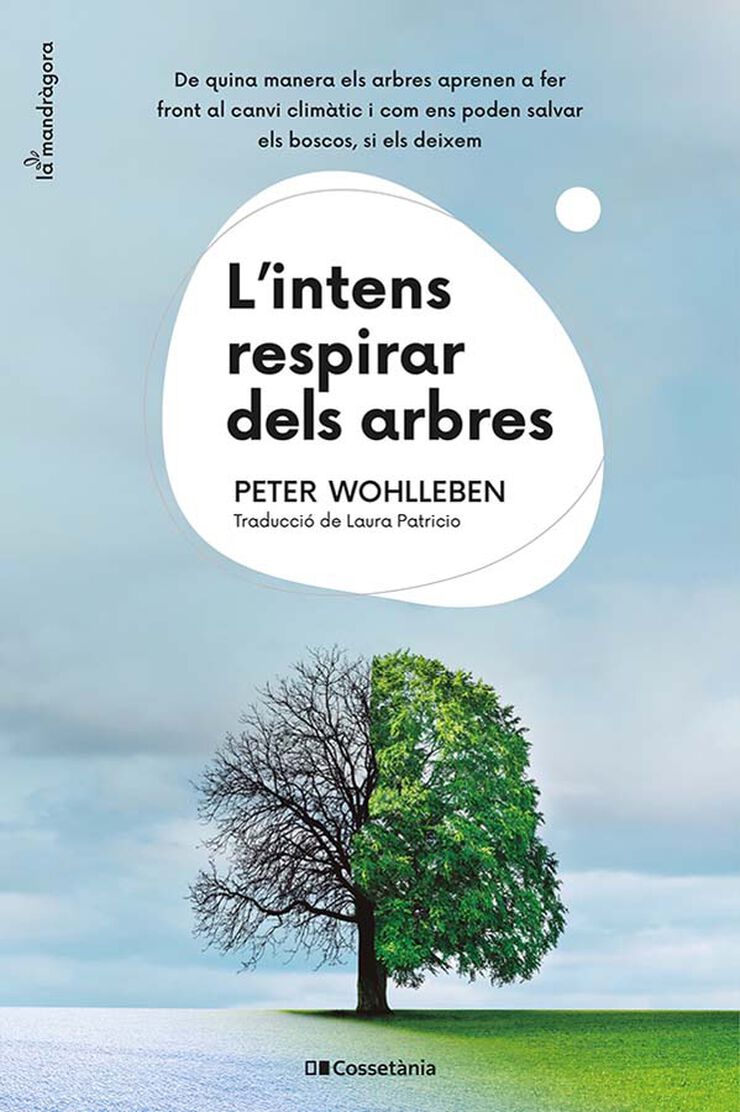 L'intens respirar dels arbres