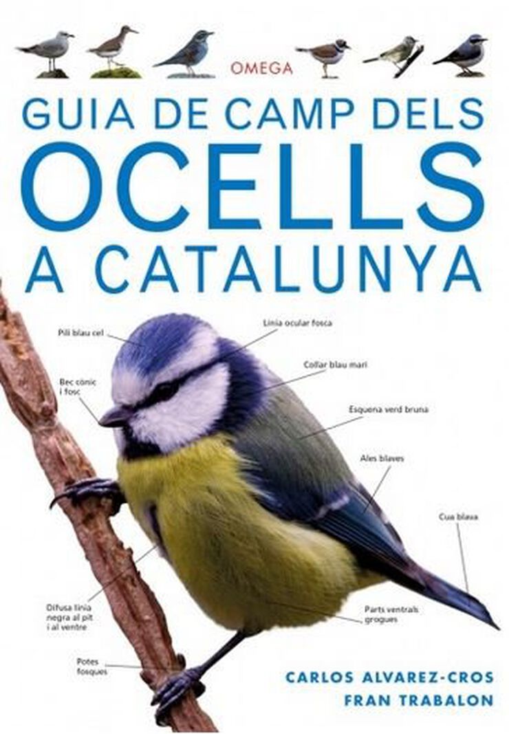 Guia de camp dels ocells de Catalunya