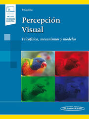 Percepci&oacute;n visual