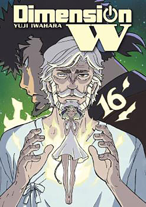 Dimension w 16