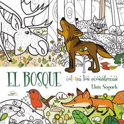 Bosque Colorea Los Ecosistemas El Abacus Online