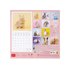 Calendario pared Legami 30X29 2024 Honey Bunny