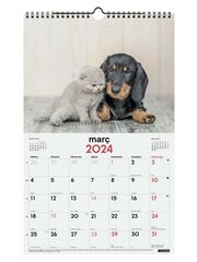 Calendari paret Finocam Esp.25X40 2024 Gos I Gats cat