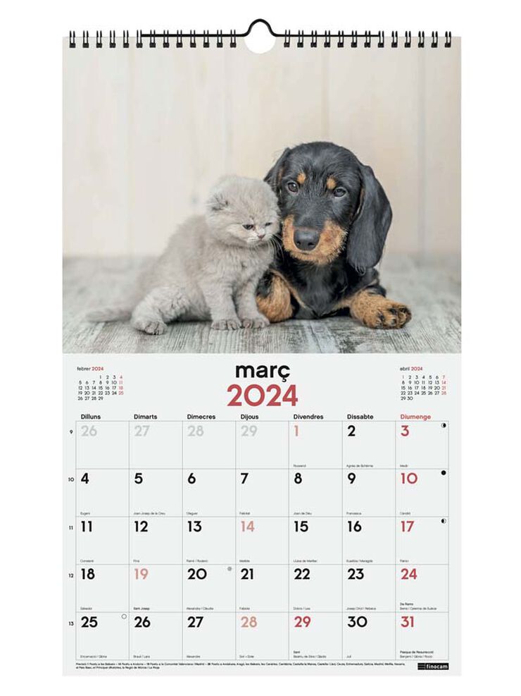 Calendario pared Finocam Esp 25X40 2024 Perro Y Gato cat