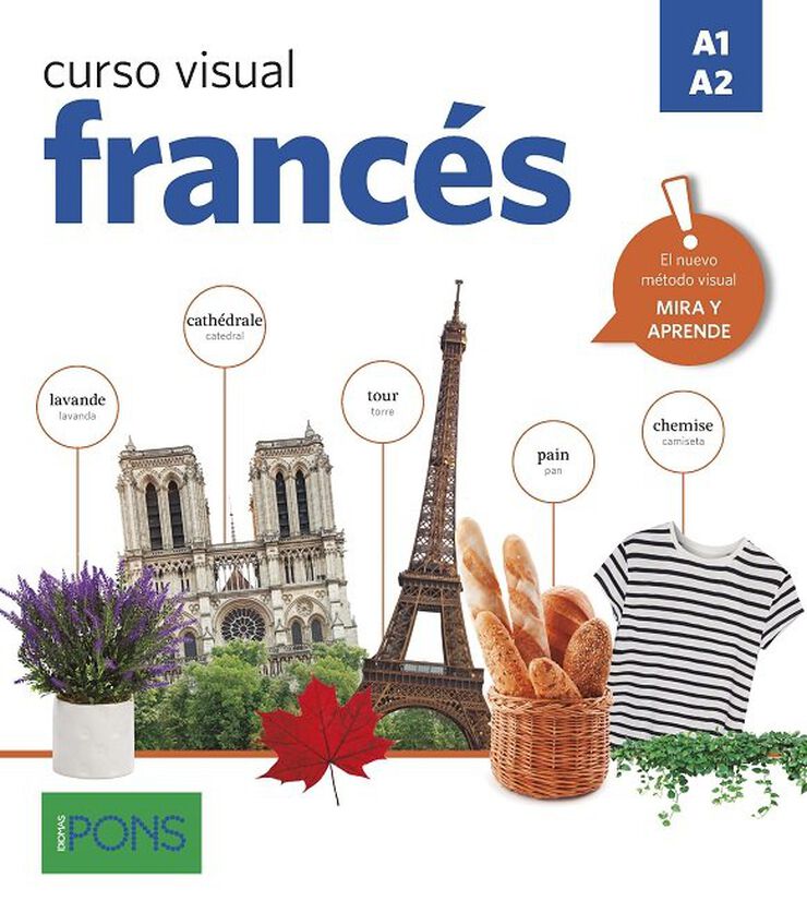 Curso visual francés