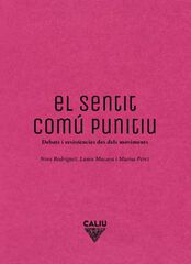 Sentit com&uacute; punitiu