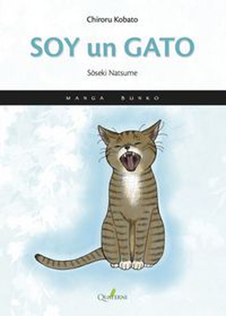 Soy un gato