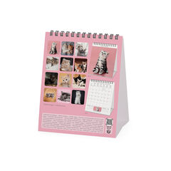 Calendario Legami 12x14,5 Sobremesa Kittens Multiling&uuml;e 2027