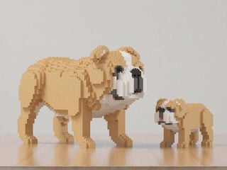 Jekca Bulldog Inglés Mini