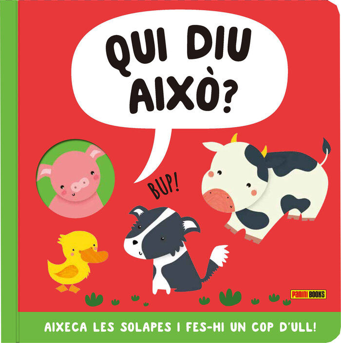Qui diu aix&oacute;?