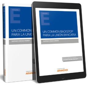El Espacio Europeo de Datos Sanitarios: nuevos enfoques de la protecci&oacute;n e intercambio de datos sanitarios (Papel + e-book)