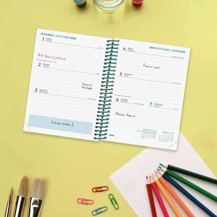 Agenda Finocam escolar Diva 1/8 sem/vista cat 2025-26 colors