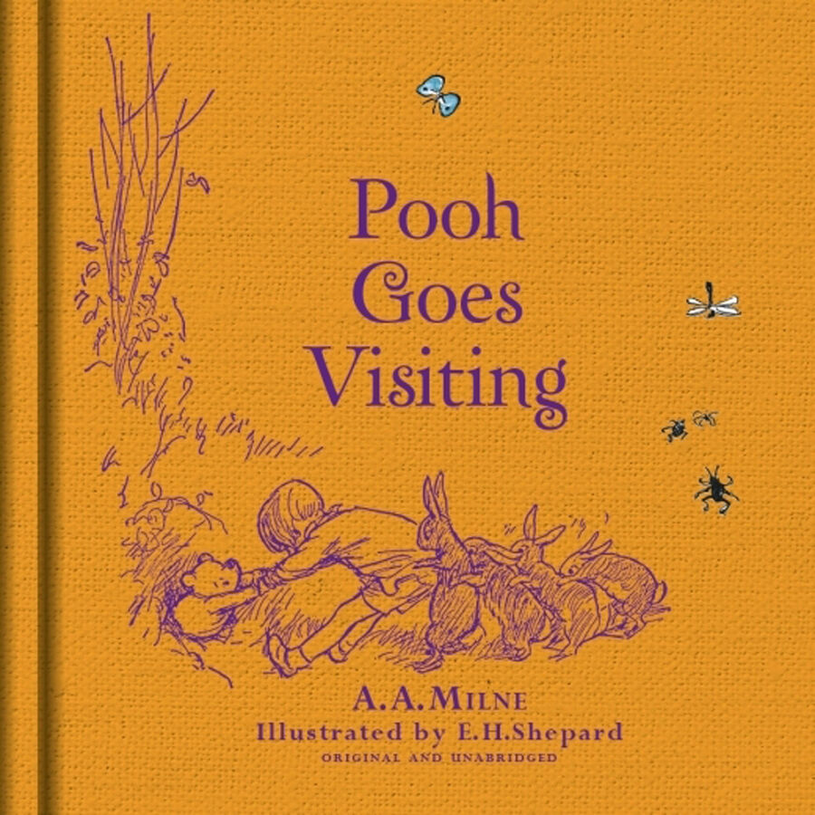 Winnie the pooh goes visiting