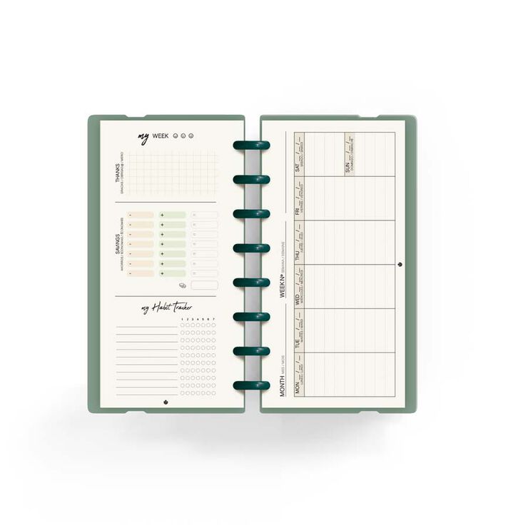 Planificador Ingeniox + check list verd menta