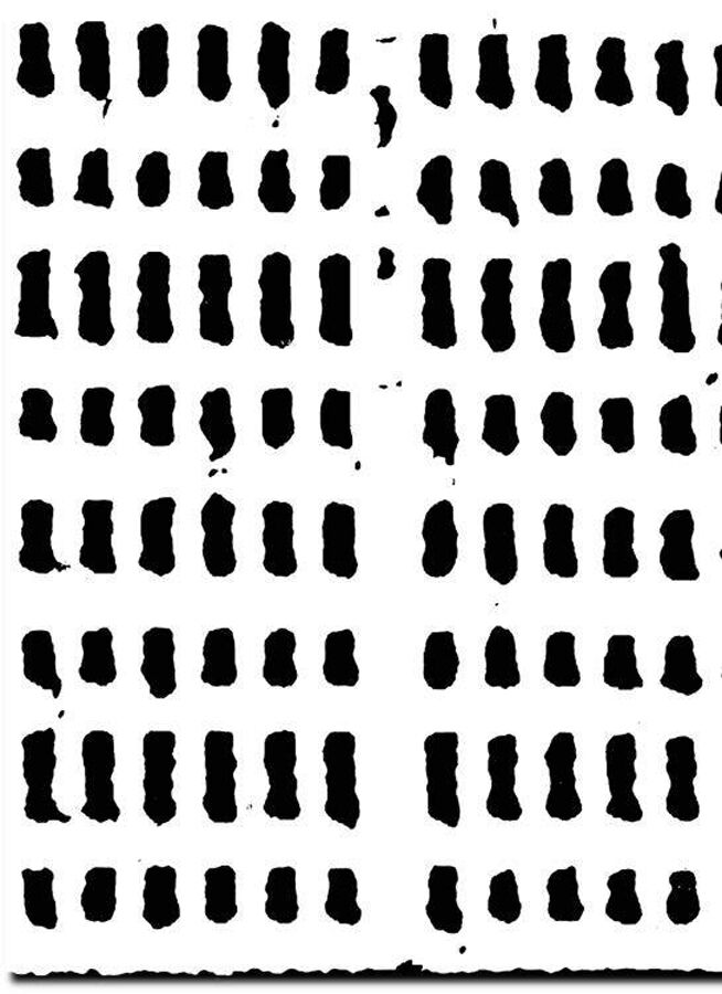 Jordi Colomer. Fa&ccedil;ana foto festa futur fideus [catal&agrave;]