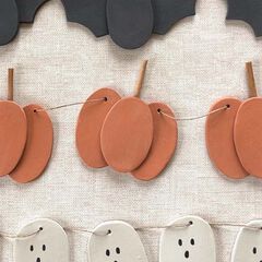 Fang endurible Sio-2 Plus 1kg terra