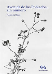 Avenida de los poblados sin número Avenida de los poblados sin número