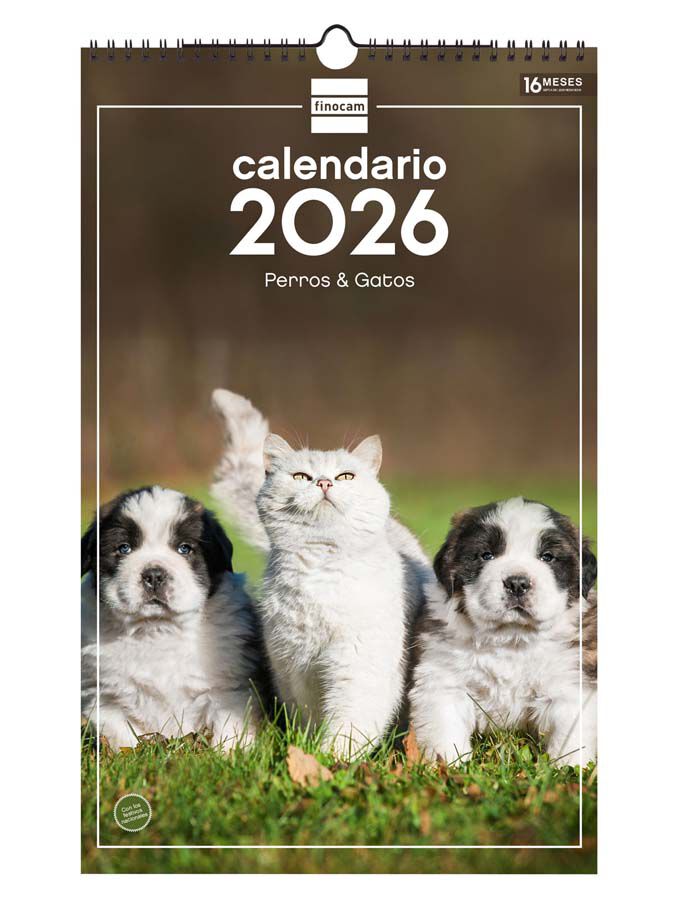 Calendario pared Finocam 25x40 2026 Gosso y Gatos castellano