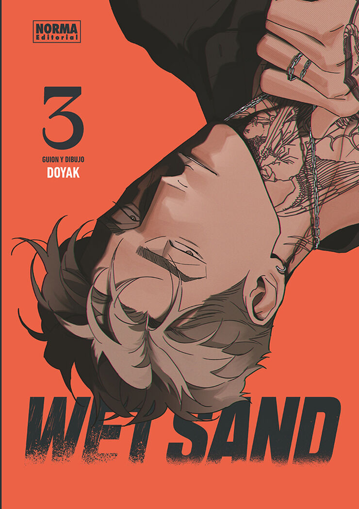 Wet sand 03