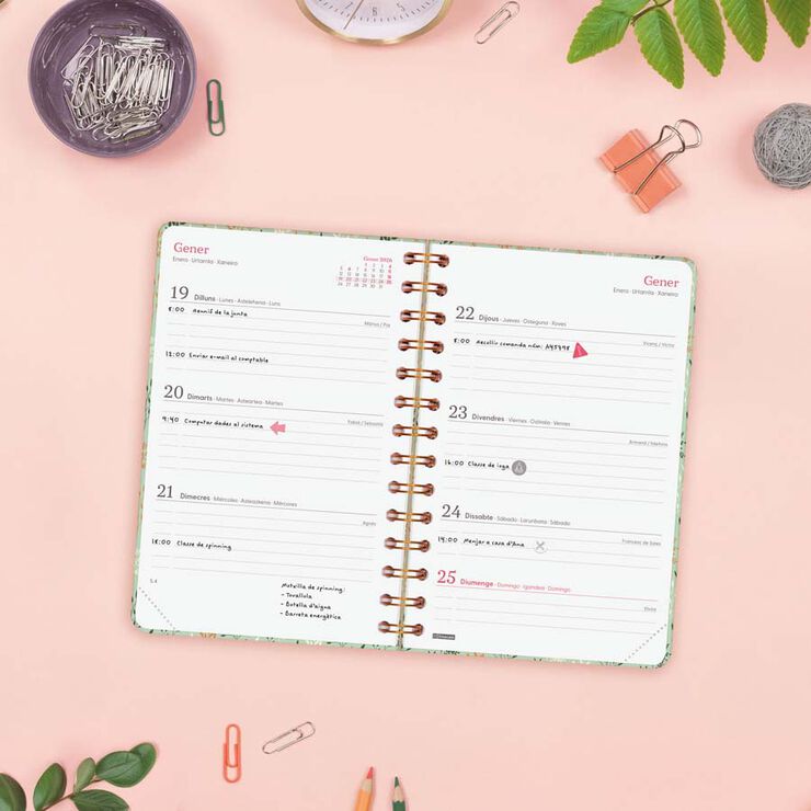 Agenda Finocam You E5 sem/vista horizontal cat 2026 Trigo