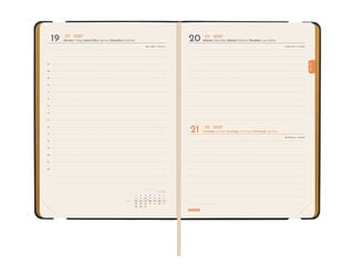 Agenda Finocam Joy Dia P&agrave;gina 2027 Castell&agrave; Lema