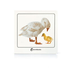 Animales dom&eacute;sticos y sus cr&iacute;as