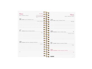 Agenda Finocam Design Collection E3 sem/vista horizontal cat 2026 Goldy