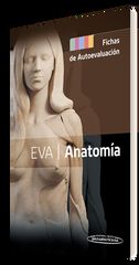 EVA Anatom&iacute;a. Fichas de autoevaluaci&oacute;n