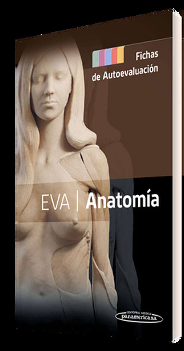 EVA Anatom&iacute;a. Fichas de autoevaluaci&oacute;n