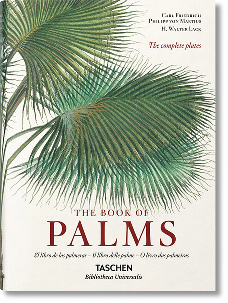 Von Martius. El libro de las palmeras