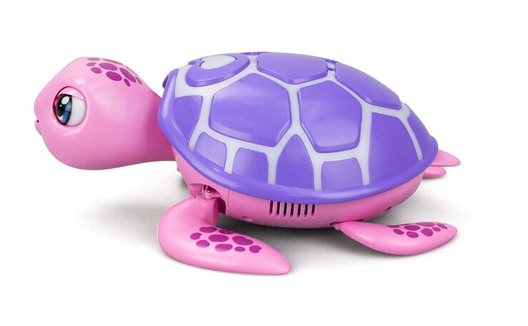 Salva la Tortuga