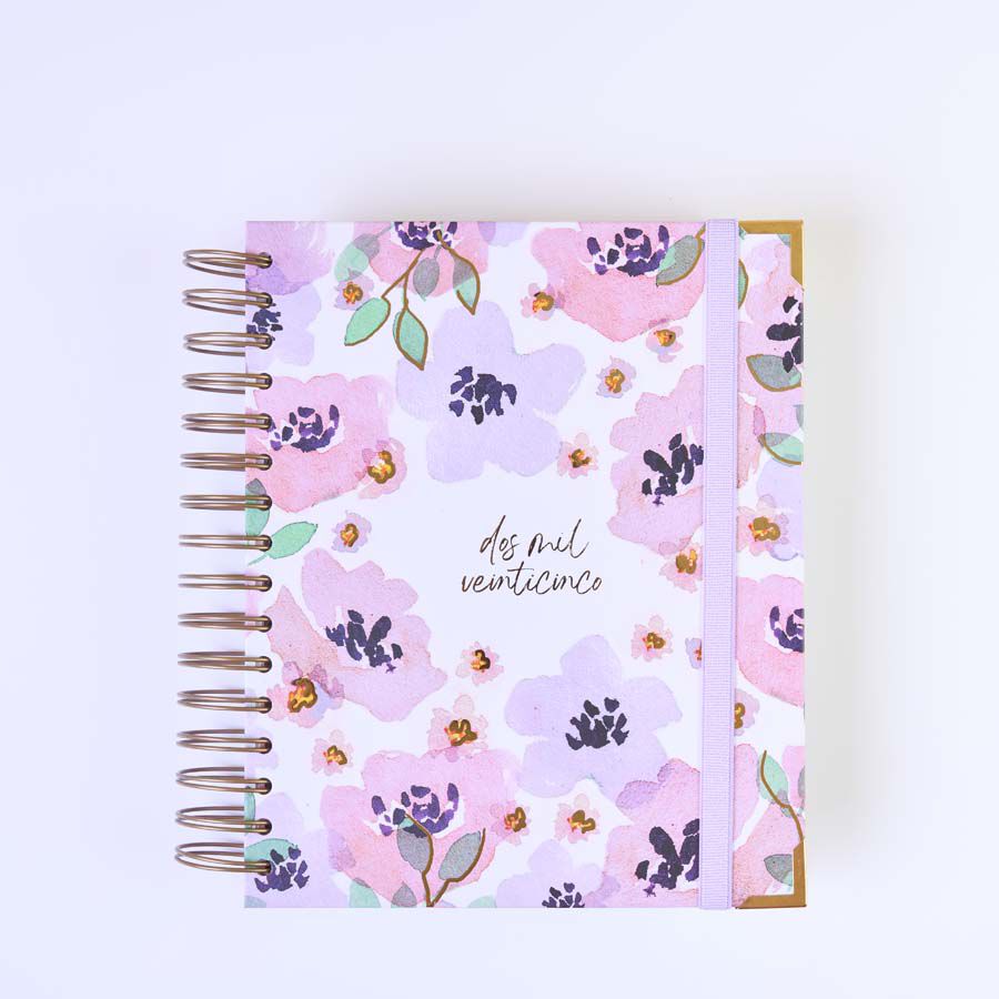 Agenda Takenote 17x21 d&iacute;a/p&aacute;g mult 2025 Clara