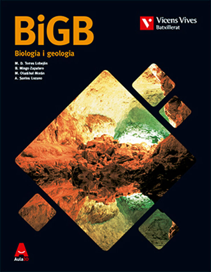 Biologia i Geologia Big 1r Batxillerat