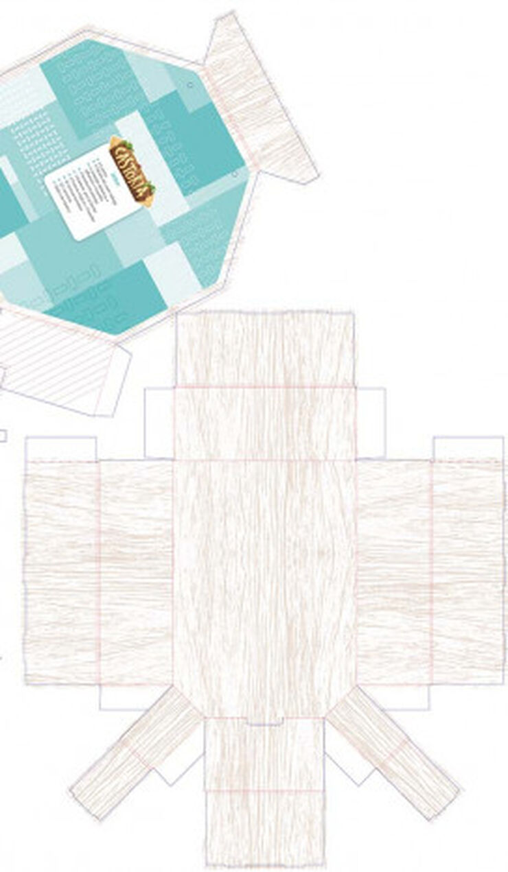 CASTORIA-INTEGRADO P5 SM 9788491826521