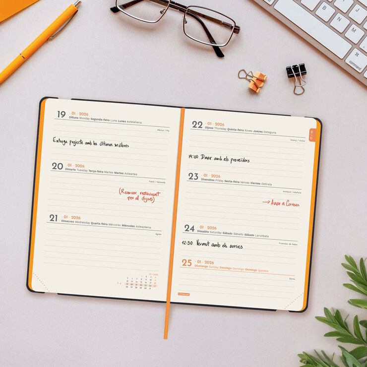 Agenda Finocam Llisa F4 setm/vista horitzontal cat 2026 blau