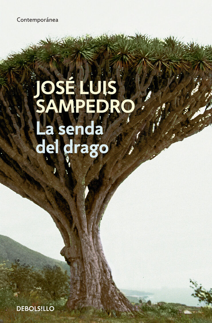 La senda del dragón