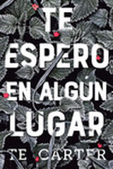 Me detengo en alg&uacute;n lugar