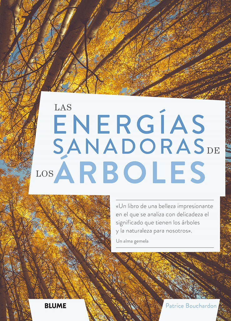 Las energías sanadoras de los árboles