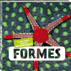 Formes Formes