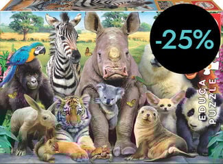 Puzle 300 piezas Foto de Clase