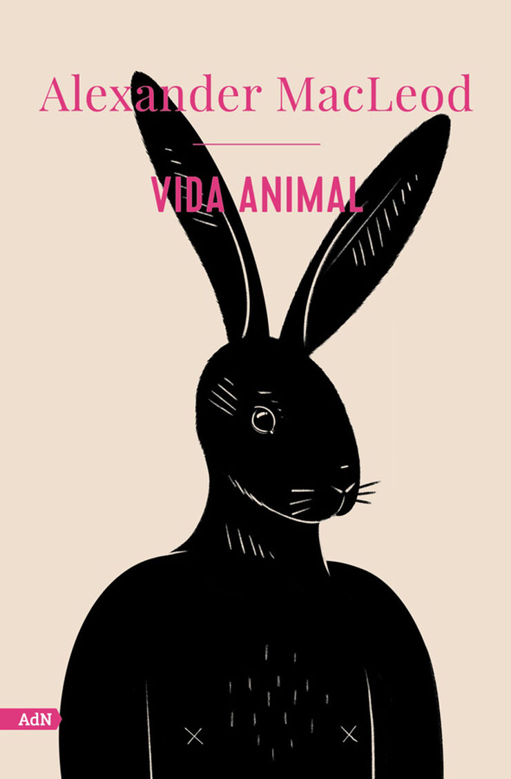 Vida animal