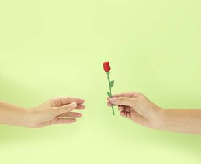 Punto de Libro Rosa Sant Jordi