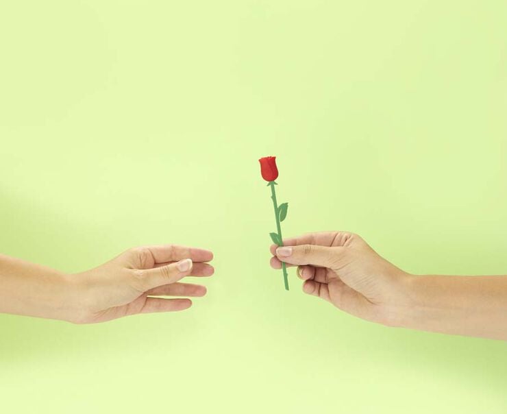 Punto de Libro Rosa Sant Jordi